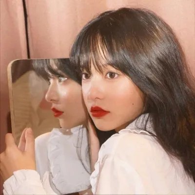 红色康乃馨
